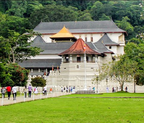 Temple of the Tooth Ticket Price